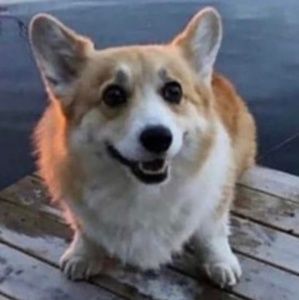 Meet your Posher, Danny